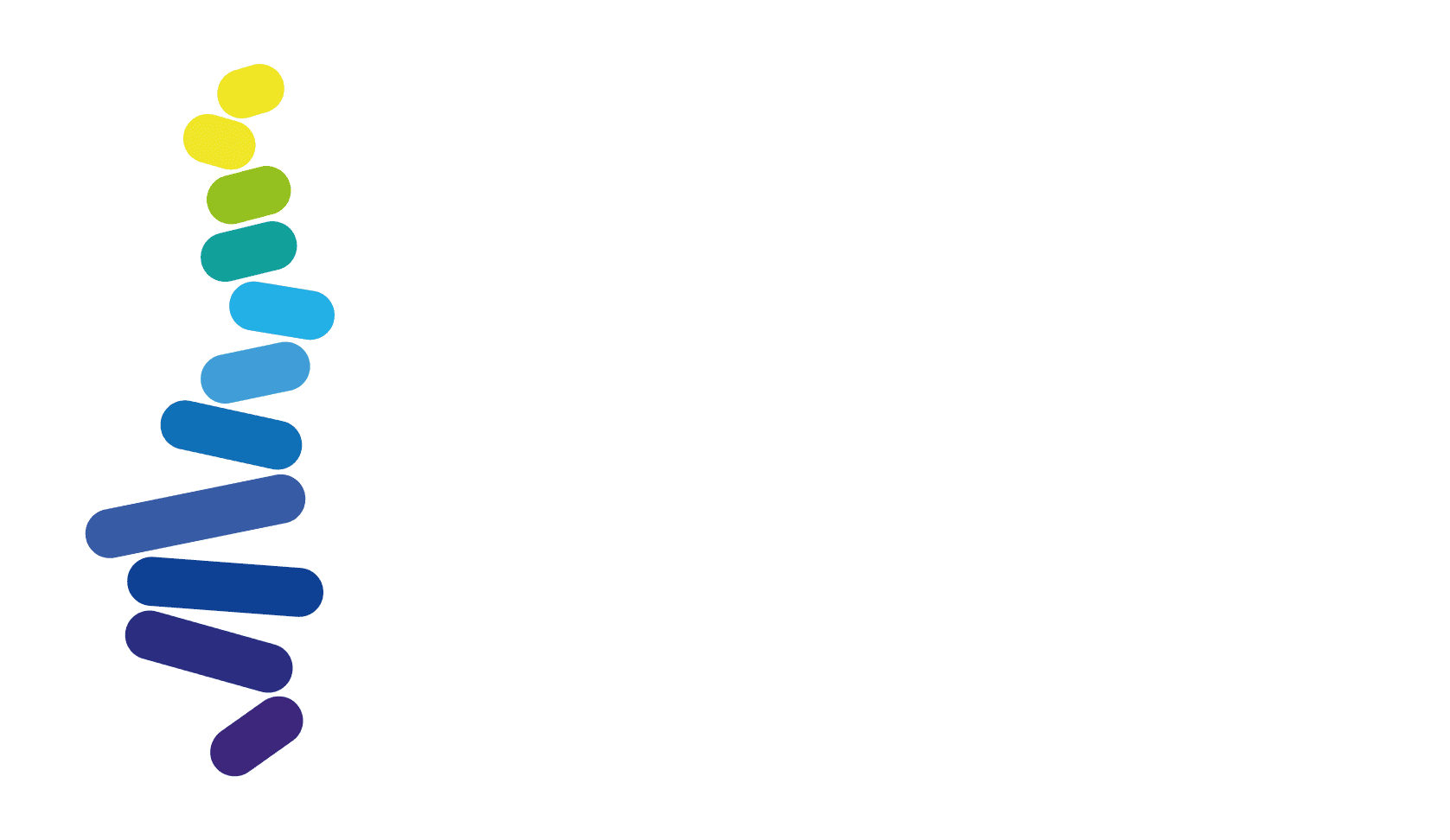 Chordata Consultoria